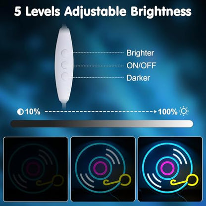 Record Neon Signs for Wall Decor，Led Neon Lightfor Live Room, Game Room, Broadcasting Room, Music Studio - style: Record