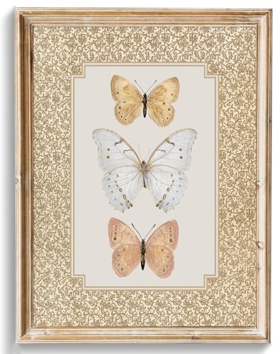 uniro Vintage Wall Art Prints, Retro Neutral Butterfly Canvas Art Prints Painting, Antique Moth Insect Wall Art Picture, Farmhouse Wall Decor Butterfly Drawing for Nursery Bedroom, Dining Desktop, Cottagecore Decor - (8" x 10"-UNFRAMED) - color: Neutral B