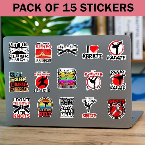 SODAVA (15Pcs-3in) Funny Karate Sticker Pack, Martial Arts Quotes Decals, Black Belt Kenpo Karate Humor Stickers, Vinyl Waterproof Stickers for Laptop, Water Bottle, Notebook, Phone, Car - color: Karate