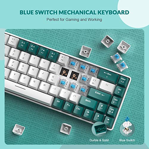 ZIYOU LANG RK-T8 Wired 65% Mechanical Gaming Keyboard with RGB LED Backlit Anti-ghosting TKL Mini 68 Key Custom Coiled C to A Cable Tactile Blue Switch for PS4 PS5 Xbox PC Mac Gamer(Green/White) - color: Green White, size: 65% Keyboard