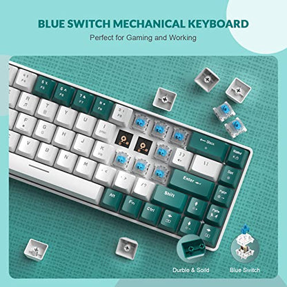 ZIYOU LANG RK-T8PR0 Wired 65% Mechanical Gaming Keyboard and Mouse Combo with RGB LED Backlit Anti-ghosting TKL Mini 68 Key Coiled C to A Cable Tactile Blue Switch for PS4 PS5 Xbox PC Mac Gamer(Green) - color: Green White, size: 65% Keyboard + Mouse