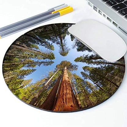 Gaming Round Mouse Pad Custom, Giant Sequoia Trees Mouse pad, Round Mousepad, Yosemite National park Mouse pad, Office Supplies, Present for Friend, Desk Accessories - color: AMR19