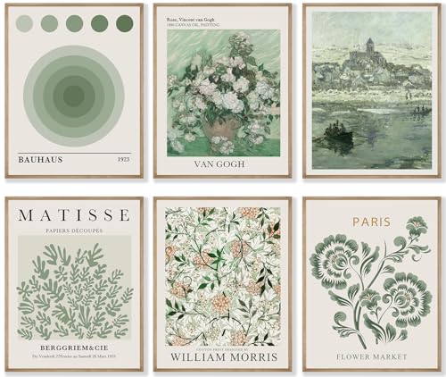 Crocothemis Abstract Matisse Wall Art Exhibition Posters, Vintage Art Boho Art Prints, Retro Room Decor for Aesthetic Bedroom, green wall art, Unframed, 8 x 10 Inch(Green)-B01 - color: A Sage green, size: 8x10 in Unframed