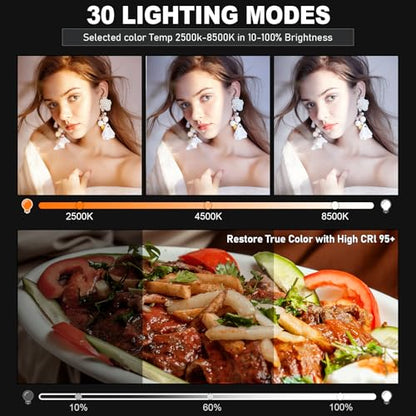 30W Upgraded Photography Lighting Kit, Anautin 1-Pack LED Video Lighting for Video Recording, 3700Lux Studio Lights with Tripod Stand for Photography, Streaming, Gaming, Podcast, Filming, Vlogging - size: 1-Pack, style: 30W Video Light