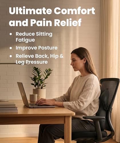 Elevate Series by Everlasting Comfort Lumbar Support Pillow for Office Chair - Memory Foam Back Cushion for Car Seat - Promotes Better Posture, Back Pain Relief - Ideal for Gaming and Desk Chairs - color: B. Black Mesh Relief