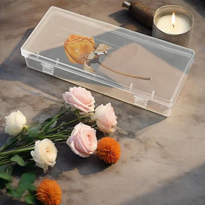 6 Pack Clear Plastic Storage Boxes with Hinged Lids, 6x2.6x1.2 Inches Long Rectangular Organizer for Diamond Art Accessories, Beads, Crafts