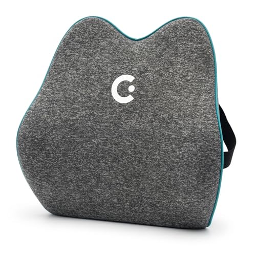 Cubii Cushii V2 Back Support Cushion for Back and Lower Back Pain Relief Universal Fit for Desk, Office, Kitchen Chairs, Couch Cushions with Advanced Lumbar Support - size: 17 Inches