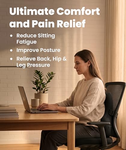 Everlasting Comfort Lumbar Support Pillow for Office Chair - Memory Foam Back Cushion for Car Seat - Promotes Better Posture, Back Pain Relief - Ideal Gaming and Desk Chairs Work and Home Essentials - color: A. Black Mesh Comfort