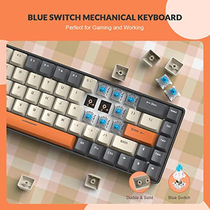 ZIYOU LANG RK-T8 Wired 65% Mechanical Gaming Keyboard with RGB LED Backlit Anti-ghosting TKL Mini 68 Key Custom Coiled C to A Cable Tactile Blue Switch for PS4 PS5 Xbox PC Mac Gamer(Dark Gray/White) - color: Dark Gray White, size: 65% Keyboard