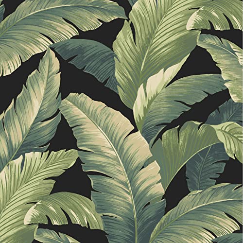 Arden Outdoor Midback Chair Cushion, 18 x 16.5, Water Repellent, Fade Resistant 18 x 16.5, Onyx Cebu - color: Onyx Cebu