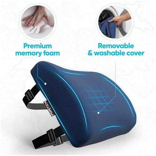 FORTEM Lumbar Support Pillow for Office Chair, Lumbar Support Pillow for Car, Back Rest for Gaming, Memory Foam Pillow, Desk Chair Cushion, Breathable & Washable Cover, Adjustable Straps - color: Blue Mesh