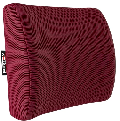 FORTEM Lumbar Support Pillow for Office Chair, Lumbar Support Pillow for Car, Back Rest for Gaming, Memory Foam Pillow, Desk Chair Cushion, Breathable & Washable Cover, Adjustable Straps - color: Red Mesh