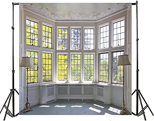 AOFOTO 8x8ft Classic French Pane Bay Window Backdrop Luxury Retro Interior Decoration Floor Lamps Photography Background Modern New Life Furniture Home Lifestyle Estate Photo Studio Props Vinyl - size: 8x8ft