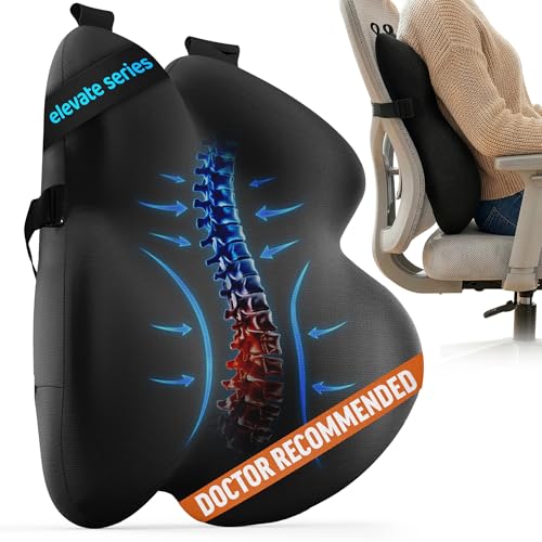 Elevate Series by Everlasting Comfort Lumbar Support Pillow for Office Chair - Memory Foam Back Cushion for Car Seat - Promotes Better Posture, Back Pain Relief - Ideal for Gaming and Desk Chairs - color: B. Black Mesh Relief