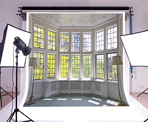 AOFOTO 5x5ft Classic French Pane Bay Windows Backdrop Luxury Retro Interior Decoration Floor Lamps Photography Background New Life Furniture Home Lifestyle Estate Modern Residence Photo Studio Props - size: 5x5ft
