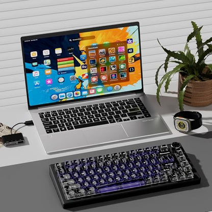 dagaladoo Clear keycaps,Transparent Keyboard keycaps,Jelly Key caps Set,Shine Through keycap,MDA Profile Keyboard caps for Mx Switches Mechanical Keyboard (Purple and Grey) - color: Purple and Grey