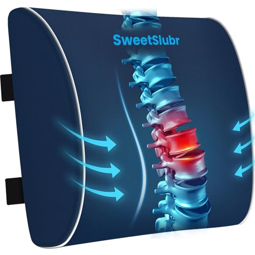 SweetSlubr Lumbar Support Pillow for Office Chair, Car Seats and Home Desks, Ergonomic Back Support with Double Adjustable Straps, Machine Washable Cover, Blue - color: Blue, size: Large