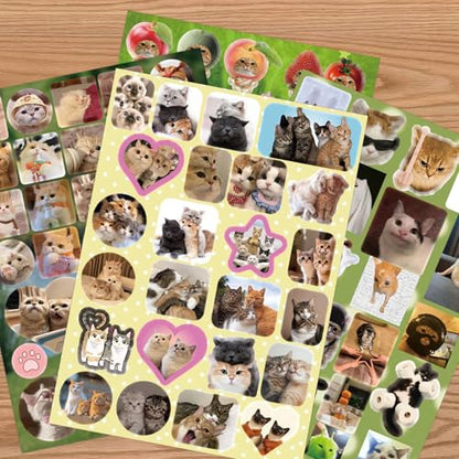 Cat Sticker Book - 1000+ Stickers, 34 Sheets of Cat & Dog Aesthetic Stickers for Scrapbooking, Journaling, Kawaii Planner | Cat Sticker Book with Meme Stickers,Glossy, Matte & Textured Finishes - color: Blue Cat and Dog