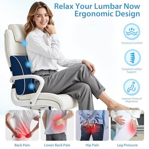 SweetSlubr Large Lumbar Support Pillow for Office Chair, Car Seats and Home Desks, Ergonomic Back Support with Double Adjustable Straps, Machine Washable Cover (Blue,XL) - color: Blue, size: X-Large