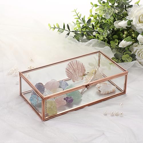 Hipiwe Glass Keepsakes Display Box Jewelry Organizer Box with Lid Decorative Glass Box Clear Rectangle Storage Box for Trinket Perfume Collection Gift for Birthday Anniversaries,Rose Gold Large - color: Rose Gold, size: Large