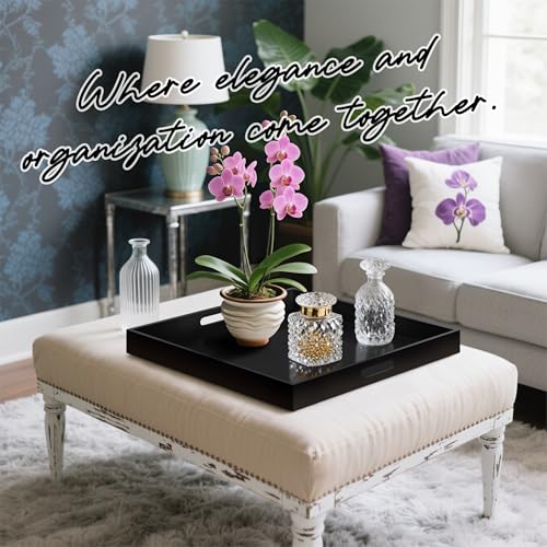Glossy Black Acrylic Serving Tray with Handles-Butler Trays for Coffee Table, Snacks,Breakfast in Bed, Kitchen Countertop,Vanity,Makeup Organizer,Ottoman (Black, 24x24 Inches) - color: Black, size: 24" x 24" x 2"