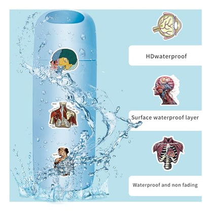 100PCS Anatomy Stickers, Vinyl Waterproof Anatomy Decals Pack for Water Bottle, Helmet,Journaling, Laptop, Phone, Biology Anatomy Human Body Organ Stickers for Students Teachers - color: Anatomy Stickers