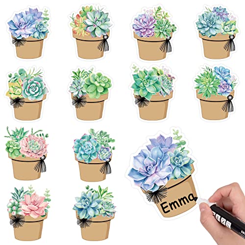 Whaline 120 Pcs Summer Back to School Succulent Name Tag Stickers 12 Designs Potted Succulent Self-Adhesive Nameplate Decal Blank Name Label for School Classroom Office Desk Wall Decor, 20 Sheet