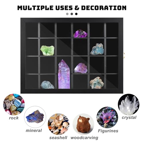 Adjustable Rock Display Case Wall Mounted, Crystal Collection Box with Shelves, Wooden Rock Collection Box for Kid and Collectibles