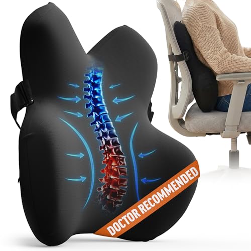 Everlasting Comfort Lumbar Support Pillow for Office Chair - Memory Foam Back Cushion for Car Seat - Promotes Better Posture, Back Pain Relief - Ideal Gaming and Desk Chairs Work and Home Essentials - color: A. Black Mesh Comfort