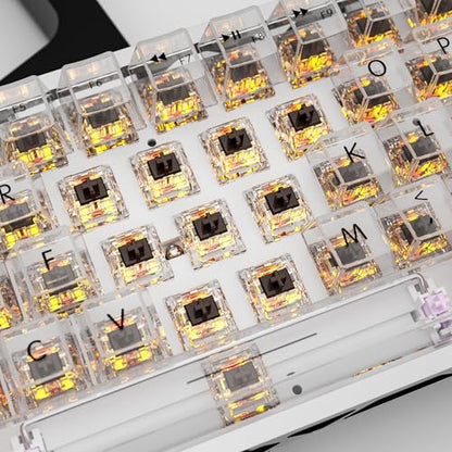 Zhouwang Crystal Brown Switches, 3-Pin Pre-Lubricated Tactile Switches, Dustproof and Waterproof for Mechanical Keyboards. (72Pcs) - color: Crysta Brown, size: 72Pcs