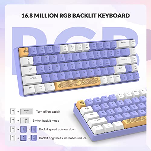 ZIYOU LANG RK-T8 Wired 65% Mechanical Gaming Keyboard with RGB LED Backlit Anti-ghosting TKL Mini 68 Key Custom Coiled C to A Cable Tactile Blue Switch for PS4 PS5 Xbox PC Mac Gamer(White Purple) - color: White Purple, size: 65% Keyboard