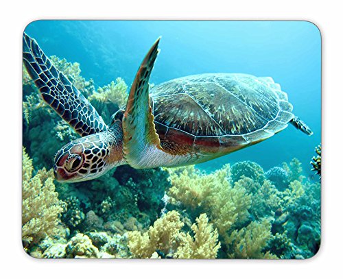 Green sea Turtle Natural Rubber Quality Creative Mouse Pad | Quality Creative Wrist-Protected Wristbands Personalized Desk, Mouse Pad (9.5 inch x 7.9 inch)