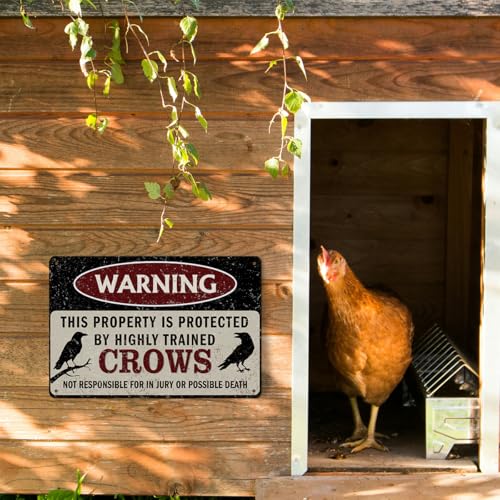 Vintage Crow Metal Sign Warning This Property is Protected by Highly Trained Aluminium Plate Signs, Crow Yard Sign Outdoor Home Wall Decor, Farmhouse Gifts for Yard Backyard Porch Decor 12x8 Inch - color: Crow Warning Sign