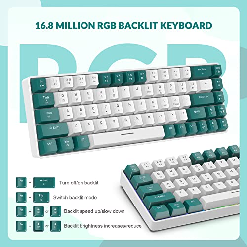 ZIYOU LANG RK-T8 Wired 65% Mechanical Gaming Keyboard with RGB LED Backlit Anti-ghosting TKL Mini 68 Key Custom Coiled C to A Cable Tactile Blue Switch for PS4 PS5 Xbox PC Mac Gamer(Green/White) - color: Green White, size: 65% Keyboard