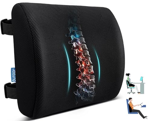 Lumbar Support Pillow for Office Chair, Office Home Essentials,Gifts for Mom,Dad, Back Support Pillow for Car, Chair Cushions,Back Pain Relief Improve Posture,Mesh Cover Double Adjustable Straps
