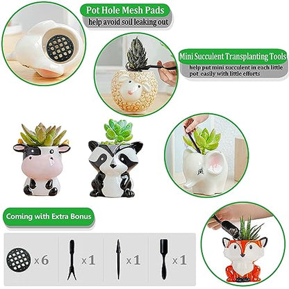 Melphoe 6Pcs Air Plant Holder Cartoon Shaped Small Succulent Pots Animal Planters Small Ceramic Pot Drainage for Mini Plant Cactus Flower, Tillandsia Air Fern, Display Stand Home, Office Desktop