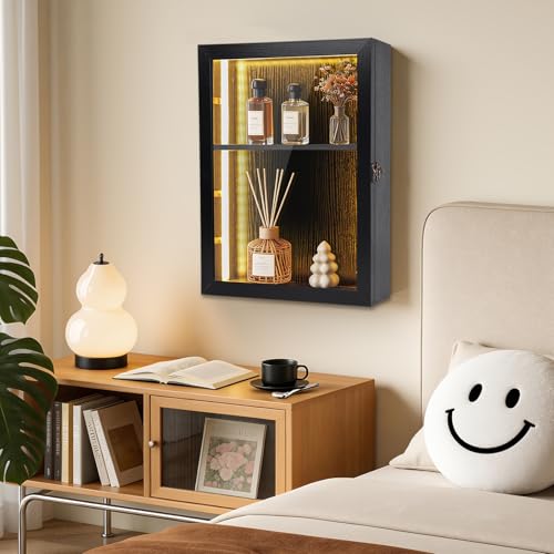 Challenge Coin Display Case with Lights Medals Collectible Figures Display Box with Led Lighting Cabinet Clear Acrylic Holder Shadow Box Wall Mounted Rack Shelf Storage Box for Bobble Heads Black
