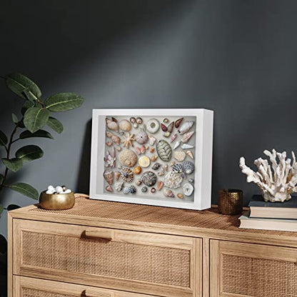 Americanflat 11x14 Shadow Box Frame with Shatter-Resistant Glass - Silhouette Collection - Large Shadow Box Display Case for Tabletop and Wall Display - White with Soft Felt Back - color: White, size: 11x14