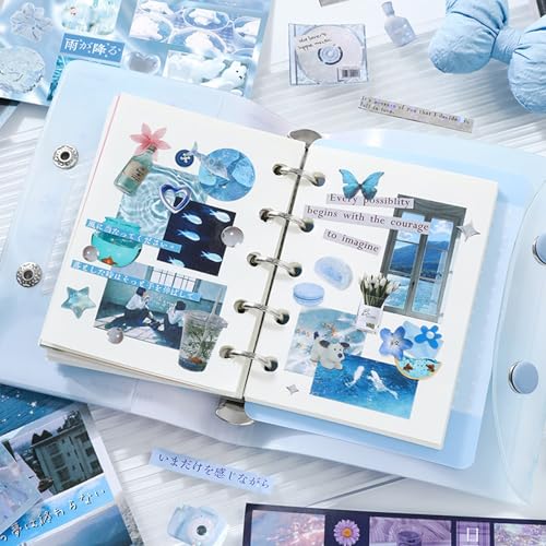 Memory-Themed Japanese Sticker Book: 700+ Die-Cut Glossy & Matte Stickers - 30 Sheets for Scrapbooking, Junk Journals, Planners-Prayer Board Supplies-Vision Board Supplies - color: Memory