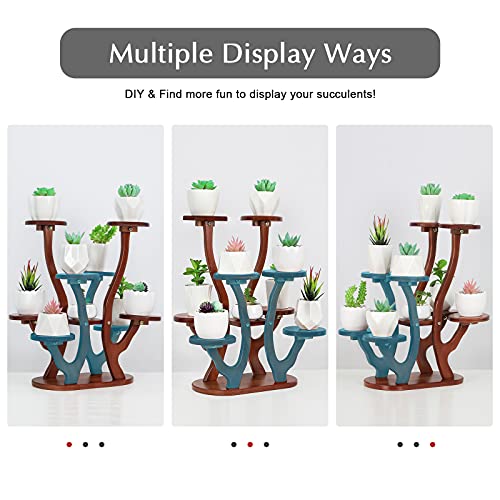 Jotsport 9 Pots Mini Succulent Stand Windowsill Small Plant Stand Multi Layers Succulents Display Shelf Kitchen Windowsill Desk Tabletop Plant Holder