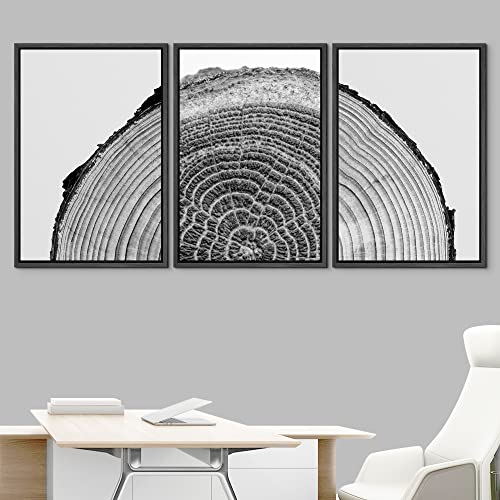 NWT Framed Canvas Print Wall Art Set Black White High Contrast Wood Tree Rings Nature Wilderness Photography Modern Art Rustic Scenic Relax/Calm for Living Room, Bedroom, Office - 16"x24"x3 Black - color: A02-2203-slm15, size: 16" x 24" x 3 Panels BLACK
