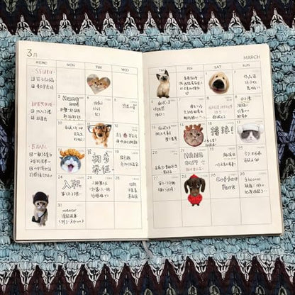 Cat Sticker Book - 1000+ Stickers, 34 Sheets of Cat & Dog Aesthetic Stickers for Scrapbooking, Journaling, Kawaii Planner | Cat Sticker Book with Meme Stickers,Glossy, Matte & Textured Finishes - color: Blue Cat and Dog