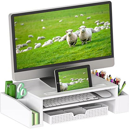Simple Houseware Desk Monitor Stand Riser with Adjustable Organizer Tray, White - color: White