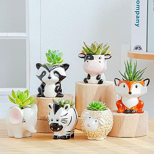 Melphoe 6Pcs Air Plant Holder Cartoon Shaped Small Succulent Pots Animal Planters Small Ceramic Pot Drainage for Mini Plant Cactus Flower, Tillandsia Air Fern, Display Stand Home, Office Desktop