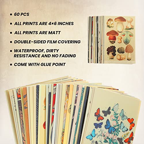Containlol 60 Pcs Vintage Wall Collage Kit Maximalist Paintings Art Prints Botanical Illustration Tarot Aesthetic Vintage Prints Cards Photo Wall Collection Aesthetic Collage Dorm Bedroom Decor