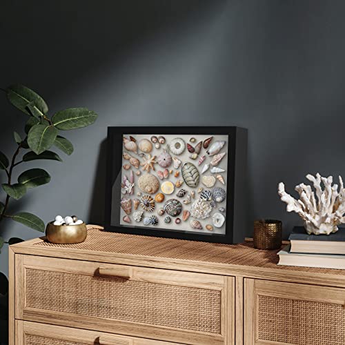 Americanflat 11x14 Shadow Box Frame with Shatter-Resistant Glass - Silhouette Collection - Large Shadow Box Display Case for Tabletop and Wall Display - Black with Soft Felt Back - color: Black, size: 11x14
