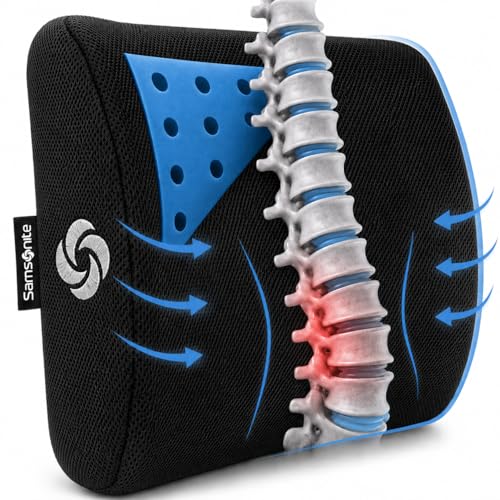 Samsonite Memory Foam Lumbar Support Pillow for Office Chair, Gaming Chair & Car Seat Automotive Use, Home Office Essentials for Sitting Comfort and Posture Relief Back Support, Black with Cooling Gel - color: Black Mesh With Ventilation