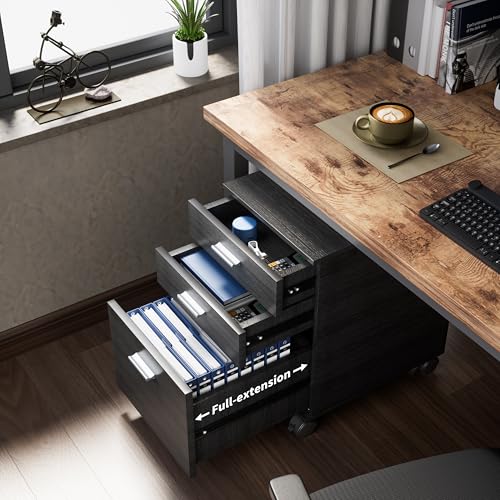 3 Drawer File Cabinet with Wheels,Pre-Assembled Wood Organizer for Home Office,Mobile Printer Stand Storage,19" L x 16" W x 22" H (Black) - color: Black
