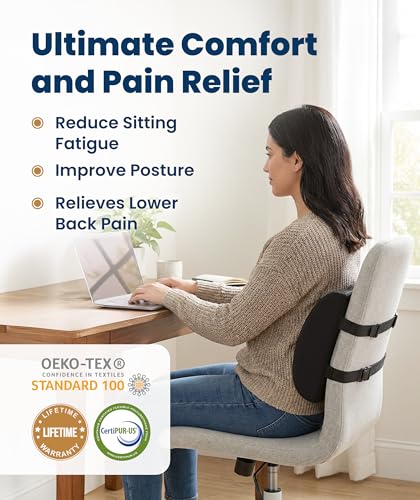 Everlasting Comfort The Original Lumbar Support Pillow for Office Chair - Improves Posture, Promotes Back Pain Relief - Superior Back Support for Gaming and Desk Chairs - Lumbar Pillow for Car, Couch - color: B. Black Cool Mesh