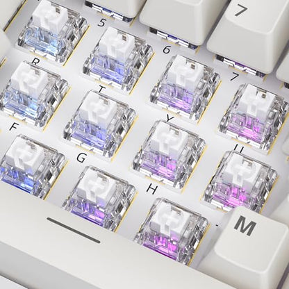 ZhouWang White Shark Keyboard Switch, Pre-Lubricated Dustproof Clicky Switch, Suitable for 3D-Printed Clickers and Gaming Mechanical Keyboards （72Pcs） - color: White Shark(Clicky）, size: 72Pcs